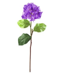 EUROPALMS Hydragena spray, lavender, 76cm