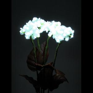 EUROPALMS Hydrangea, white, with flowers, 100 LEDs