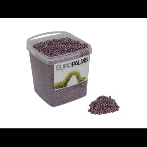 EUROPALMS Hydroculture substrate, cassis, 5.5l bucket