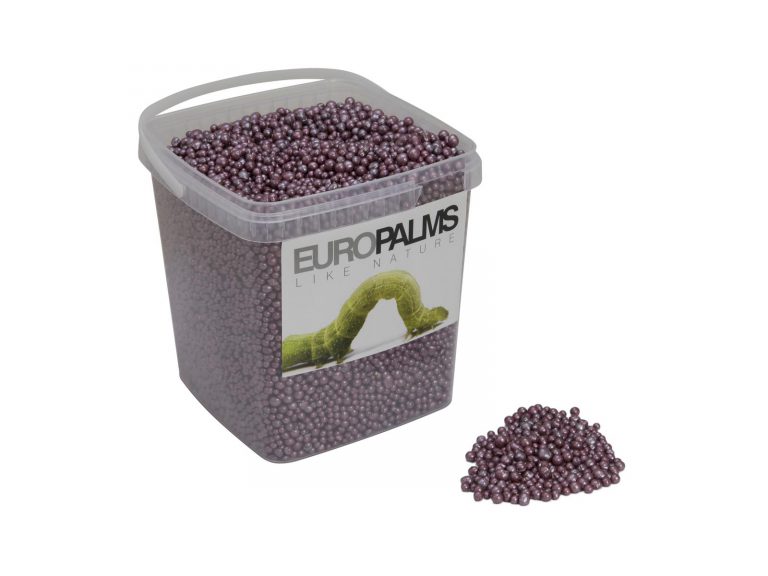 EUROPALMS Hydroculture substrate, cassis, 5.5l bucket