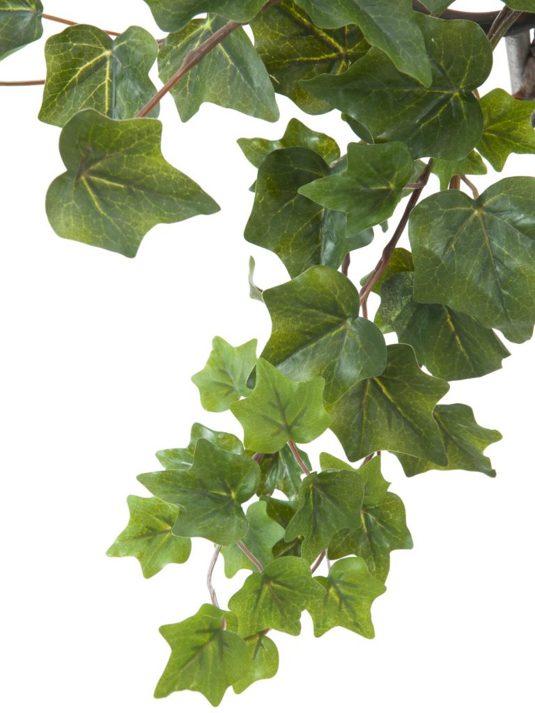 EUROPALMS Ivy garland embossed green 45cm