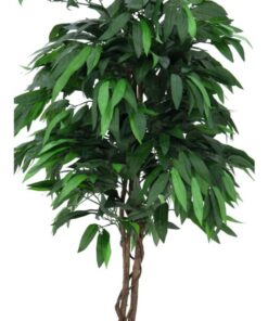 EUROPALMS Jungle tree Mango, 180cm