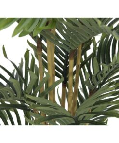 EUROPALMS Kentia palm tree, 140cm