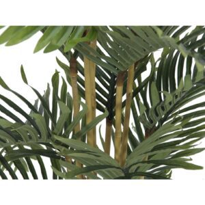 EUROPALMS Kentia palm tree, 140cm