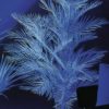 EUROPALMS Kentia palm, uv-white, 90cm
