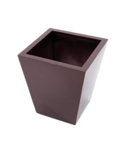 EUROPALMS LEICHTSIN BASIC-50, shiny-brown