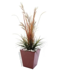 EUROPALMS LEICHTSIN BASIC-50, shiny-red