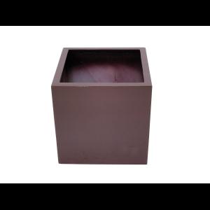 EUROPALMS LEICHTSIN BOX-50, shiny-brown