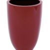 EUROPALMS LEICHTSIN CUP-49, shiny-red