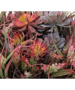 EUROPALMS LEICHTSIN CUP-69, shiny-silver