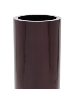 EUROPALMS LEICHTSIN TOWER-120, shiny-brown