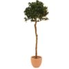 EUROPALMS Laure ball tree, 180cm