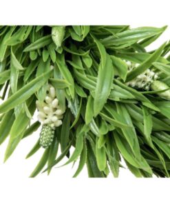 EUROPALMS Lavender Wreath, 30cm