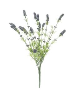 EUROPALMS Lavender bush 61cm