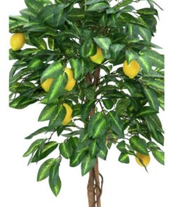 EUROPALMS Lemon Tree, 180cm