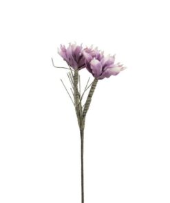 EUROPALMS Magnolia Branch (EVA), violet