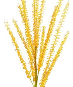 EUROPALMS Meliot Branch (EVA), gelb