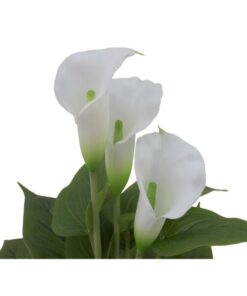 EUROPALMS Mini Calla, White, 43cm