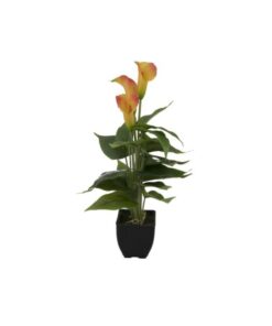 EUROPALMS Mini Calla, Yellow Orange, 43cm
