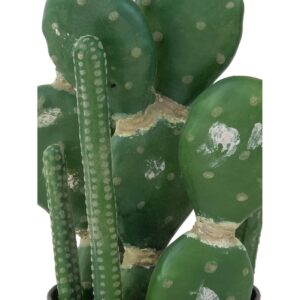EUROPALMS Mixed cactuses, 54cm