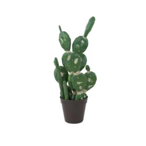 EUROPALMS Mixed cactuses, 54cm