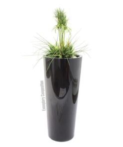 EUROPALMS Mixed grass bush, 90cm