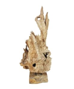 EUROPALMS Natural wood sculpture 160cm