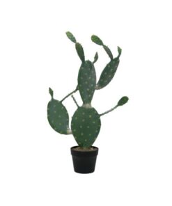 EUROPALMS Nopal cactus, 76cm