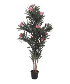EUROPALMS Oleander tree, pink, 150 cm