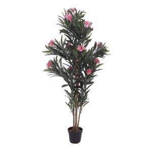 EUROPALMS Oleander tree, pink, 150 cm