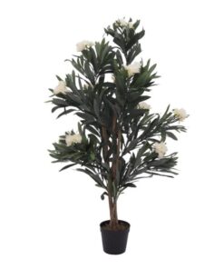 EUROPALMS Oleander tree, white, 120 cm
