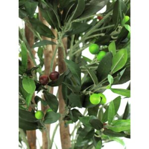 EUROPALMS Olive Tree with fruits, 2 trunks, 250cm