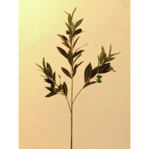 EUROPALMS Olive branch with fruits 68cm 6x