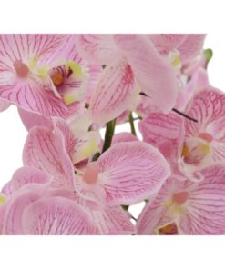 EUROPALMS Orchid Arrangement EVA, purple