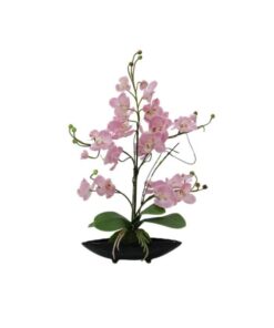 EUROPALMS Orchid Arrangement EVA, purple