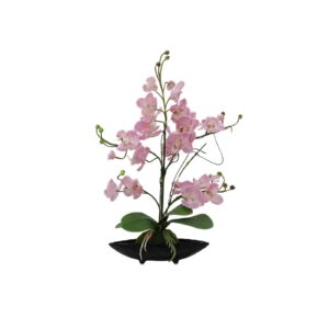 EUROPALMS Orchid Arrangement EVA, purple
