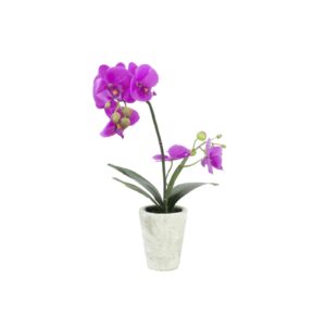EUROPALMS Orchid arrangement 3