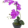 EUROPALMS Orchid arrangement 4