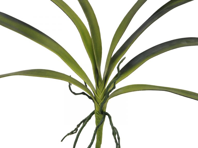 EUROPALMS Orchid leaf (EVA), green, 45cm