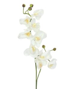 EUROPALMS Orchid spray, cream-white, 100cm