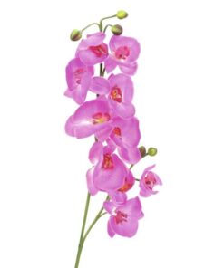 EUROPALMS Orchid spray, purple, 100cm
