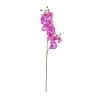 EUROPALMS Orchid spray, purple, 100cm