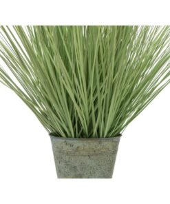EUROPALMS Ornamental blooming grass, 70cm