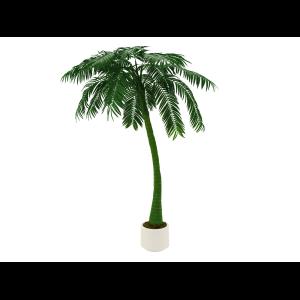 EUROPALMS Palm, 1 trunk, 300cm, green