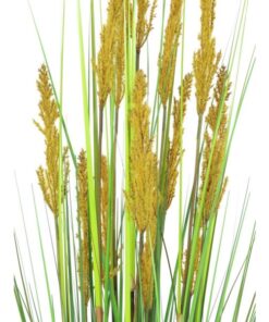 EUROPALMS Parrot grass, 120cm