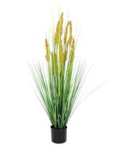 EUROPALMS Parrot grass, 120cm