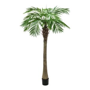 EUROPALMS Phoenix palm tree luxor, 240cm