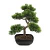 EUROPALMS Pine bonsai, 50cm