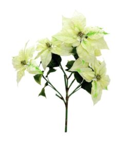 EUROPALMS Poinsettia bush, cream, 60cm