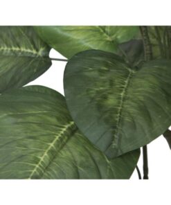 EUROPALMS Pothos tree, 175cm